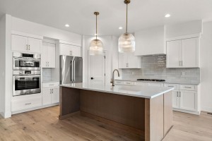 12-web-or-mls-1805-N-Black-Elm-12