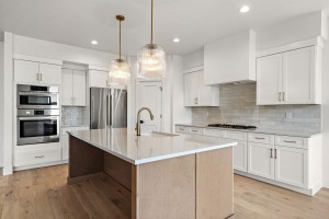 13-web-or-mls-1805-N-Black-Elm-13