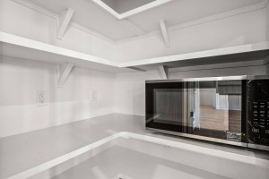 28-web-or-mls-1805-N-Black-Elm-28